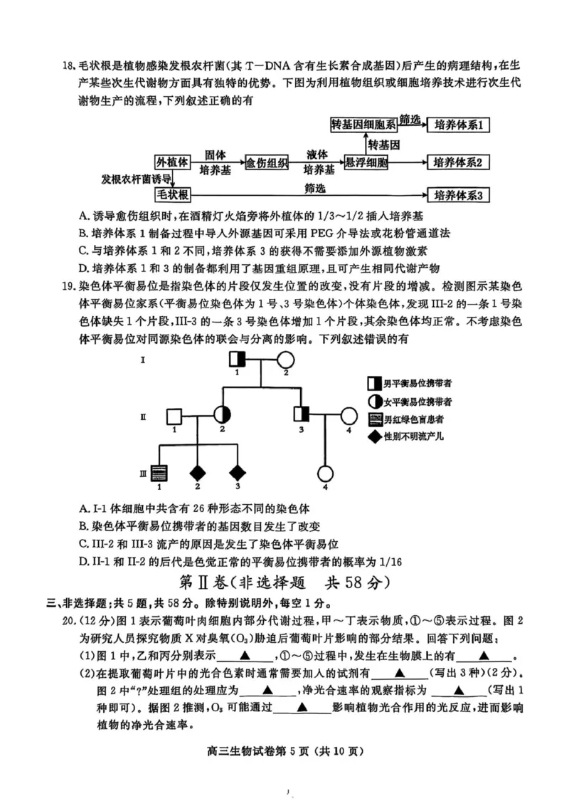 江苏省盐城市、盐城市2024-2025学年高三下学期第二次模拟考试生物试题（PDF版，无答案）_2025年3月_250321江苏省南京市、盐城市2025届高三第一次模拟考试（全科）