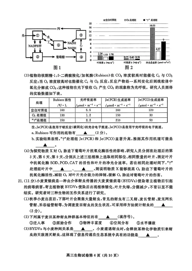 江苏省盐城市、盐城市2024-2025学年高三下学期第二次模拟考试生物试题（PDF版，无答案）_2025年3月_250321江苏省南京市、盐城市2025届高三第一次模拟考试（全科）