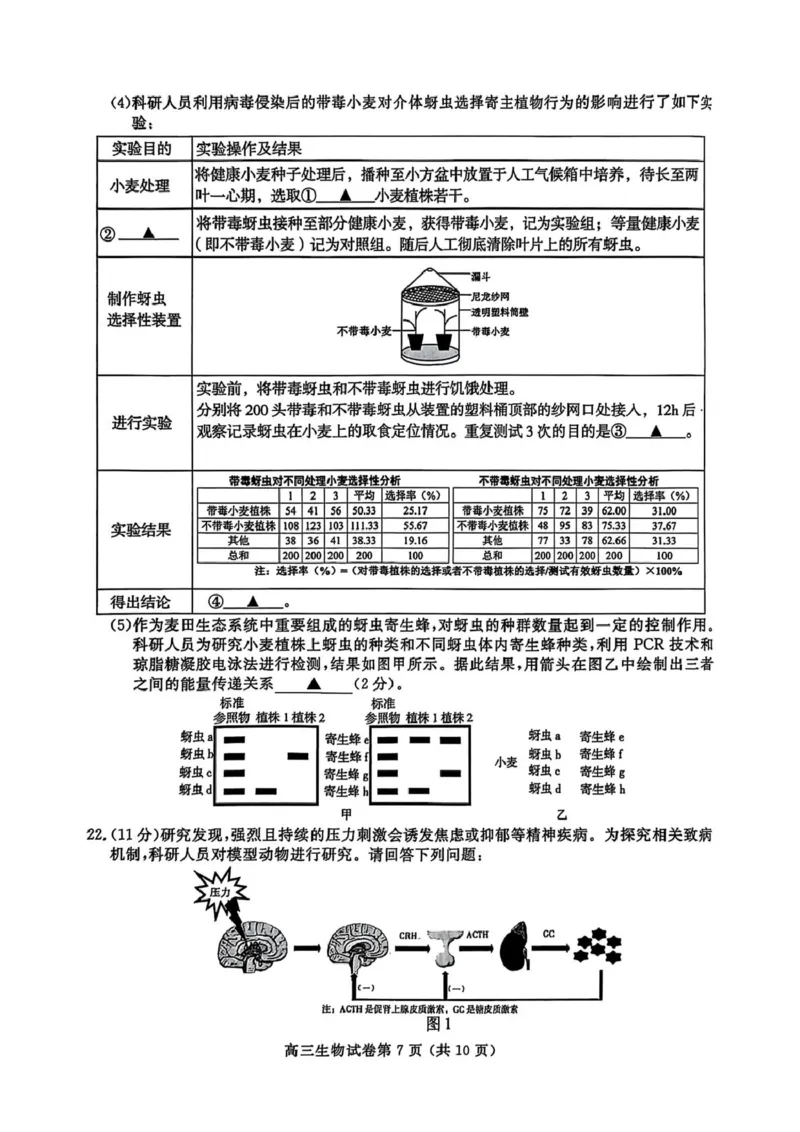江苏省盐城市、盐城市2024-2025学年高三下学期第二次模拟考试生物试题（PDF版，无答案）_2025年3月_250321江苏省南京市、盐城市2025届高三第一次模拟考试（全科）