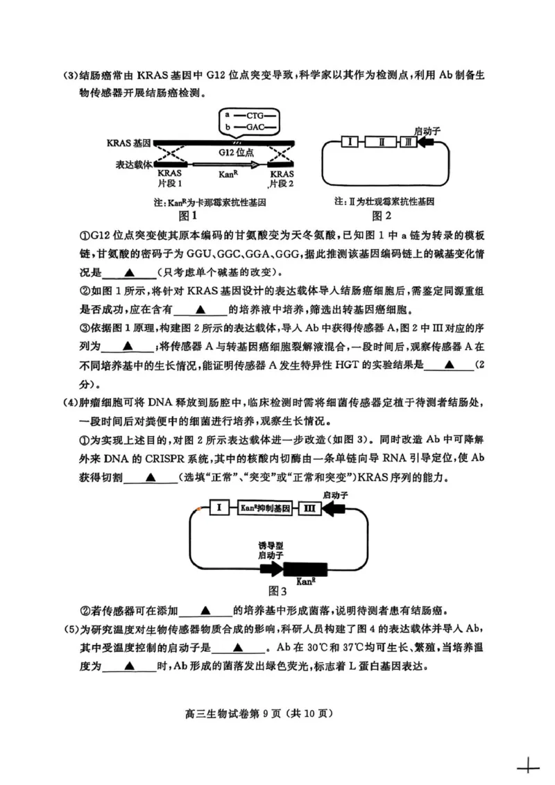 江苏省盐城市、盐城市2024-2025学年高三下学期第二次模拟考试生物试题（PDF版，无答案）_2025年3月_250321江苏省南京市、盐城市2025届高三第一次模拟考试（全科）
