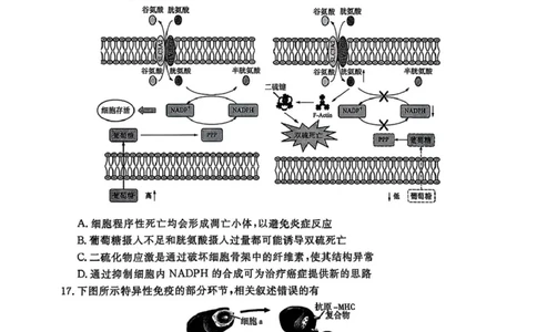 江苏省盐城市、盐城市2024-2025学年高三下学期第二次模拟考试生物试题（PDF版，无答案）_2025年3月_250321江苏省南京市、盐城市2025届高三第一次模拟考试（全科）