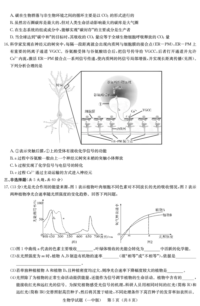 生物试卷（一中二模）1_2025年5月_05212025届湖南省长沙市第一中学高三下学期模拟考试（二）_2025届湖南省长沙市第一中学高三下学期模拟考试（二）生物试卷