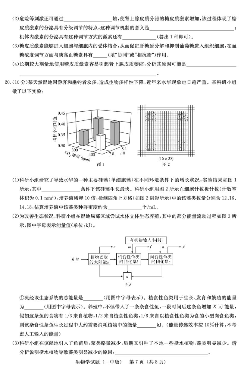 生物试卷（一中二模）1_2025年5月_05212025届湖南省长沙市第一中学高三下学期模拟考试（二）_2025届湖南省长沙市第一中学高三下学期模拟考试（二）生物试卷