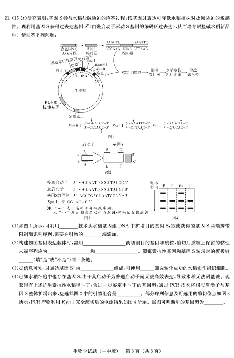 生物试卷（一中二模）1_2025年5月_05212025届湖南省长沙市第一中学高三下学期模拟考试（二）_2025届湖南省长沙市第一中学高三下学期模拟考试（二）生物试卷