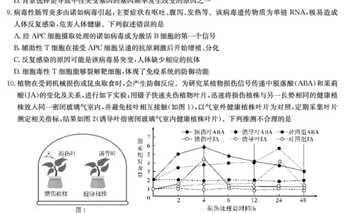 生物试卷（一中二模）1_2025年5月_05212025届湖南省长沙市第一中学高三下学期模拟考试（二）_2025届湖南省长沙市第一中学高三下学期模拟考试（二）生物试卷