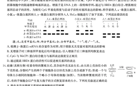 生物试卷（一中二模）1_2025年5月_05212025届湖南省长沙市第一中学高三下学期模拟考试（二）_2025届湖南省长沙市第一中学高三下学期模拟考试（二）生物试卷