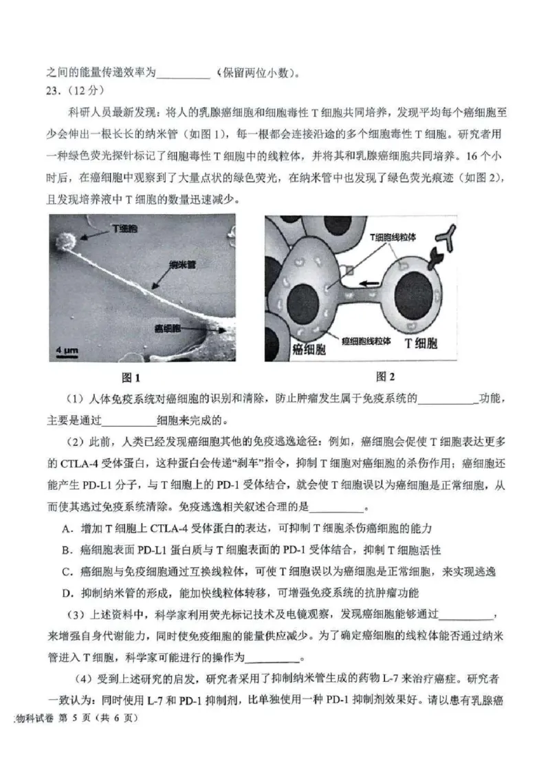 吉林省长春市东北师范大学附属中学等五校2024-2025学年高三上学期期末考试生物+答案_2025年1月_250123吉林省长春市东北师范大学附属中学等五校2024-2025学年高三上学期期末考试