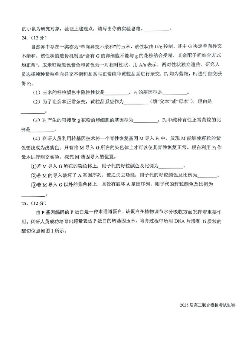 吉林省长春市东北师范大学附属中学等五校2024-2025学年高三上学期期末考试生物+答案_2025年1月_250123吉林省长春市东北师范大学附属中学等五校2024-2025学年高三上学期期末考试