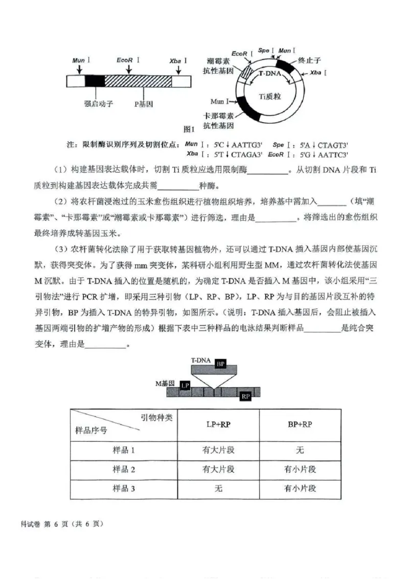 吉林省长春市东北师范大学附属中学等五校2024-2025学年高三上学期期末考试生物+答案_2025年1月_250123吉林省长春市东北师范大学附属中学等五校2024-2025学年高三上学期期末考试