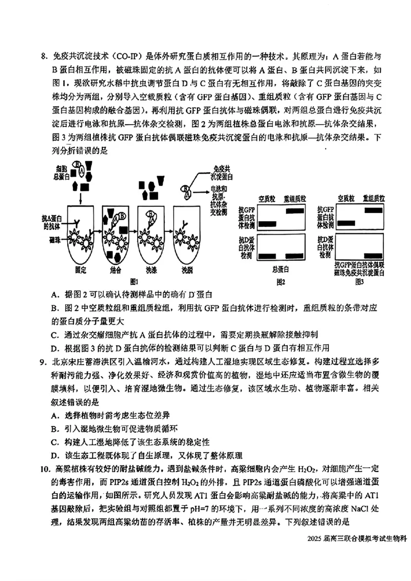 吉林省长春市东北师范大学附属中学等五校2024-2025学年高三上学期期末考试生物+答案_2025年1月_250123吉林省长春市东北师范大学附属中学等五校2024-2025学年高三上学期期末考试