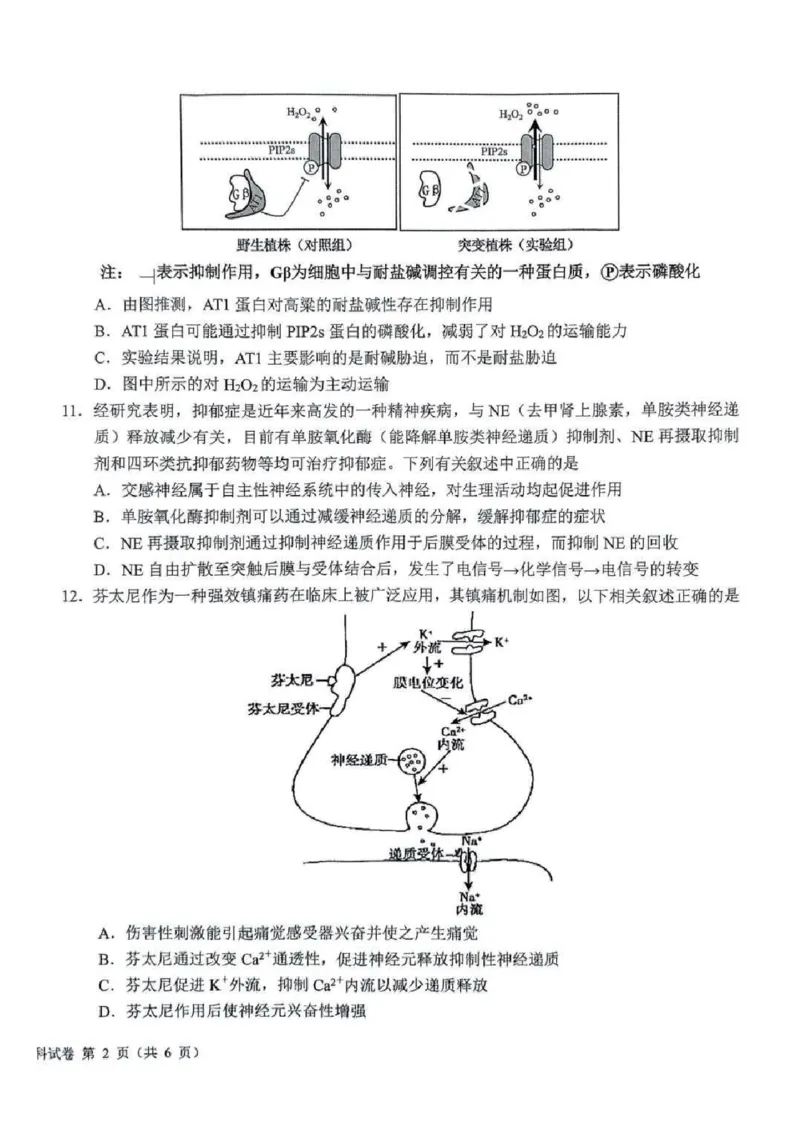 吉林省长春市东北师范大学附属中学等五校2024-2025学年高三上学期期末考试生物+答案_2025年1月_250123吉林省长春市东北师范大学附属中学等五校2024-2025学年高三上学期期末考试