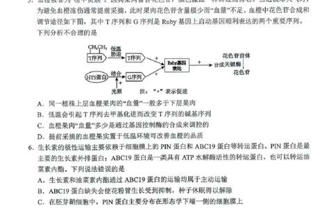吉林省长春市东北师范大学附属中学等五校2024-2025学年高三上学期期末考试生物+答案_2025年1月_250123吉林省长春市东北师范大学附属中学等五校2024-2025学年高三上学期期末考试