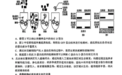 吉林省长春市东北师范大学附属中学等五校2024-2025学年高三上学期期末考试生物+答案_2025年1月_250123吉林省长春市东北师范大学附属中学等五校2024-2025学年高三上学期期末考试