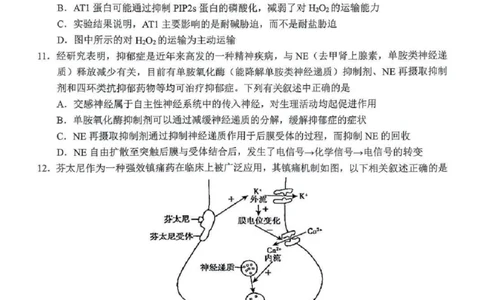 吉林省长春市东北师范大学附属中学等五校2024-2025学年高三上学期期末考试生物+答案_2025年1月_250123吉林省长春市东北师范大学附属中学等五校2024-2025学年高三上学期期末考试