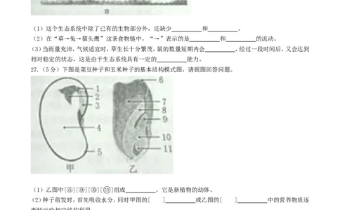 黑龙江省牡丹江市2017年中考生物真题试题（含答案）_中考真题_8.生物中考真题2015-2024年_2017年全国中考生物124份