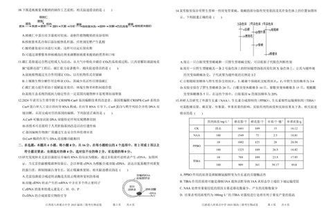 江西省八所重点2025届高三下学期4月联考（二模）生物试卷（含答案）_2025年4月_250410江西省八所重点2025届高三下学期4月联考（二模）（全科）