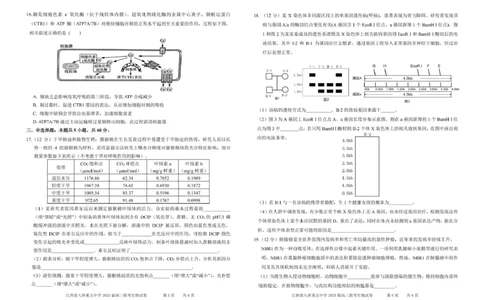 江西省八所重点2025届高三下学期4月联考（二模）生物试卷（含答案）_2025年4月_250410江西省八所重点2025届高三下学期4月联考（二模）（全科）