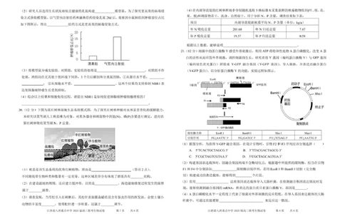 江西省八所重点2025届高三下学期4月联考（二模）生物试卷（含答案）_2025年4月_250410江西省八所重点2025届高三下学期4月联考（二模）（全科）