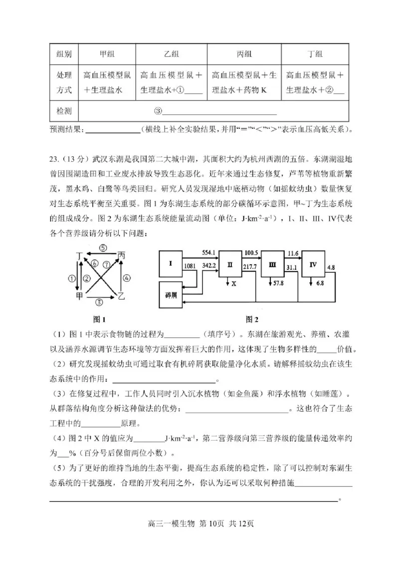 哈三中2025年高三学年第一次模拟考试生物试题+答案_2025年3月_250305黑龙江省哈尔滨市第三中学校2025年高三学年第一次模拟考试（全科）