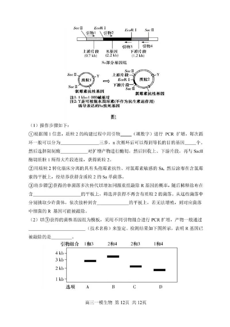哈三中2025年高三学年第一次模拟考试生物试题+答案_2025年3月_250305黑龙江省哈尔滨市第三中学校2025年高三学年第一次模拟考试（全科）