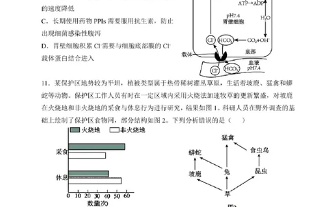 哈三中2025年高三学年第一次模拟考试生物试题+答案_2025年3月_250305黑龙江省哈尔滨市第三中学校2025年高三学年第一次模拟考试（全科）