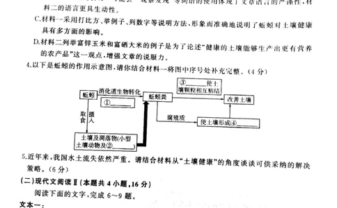 百师联盟2025届高三二轮复习联考（一）语文_2025年3月_250329百师联盟2025届高三二轮复习联考（一）（全科）_百师联盟2025届高三二轮复习联考（一）语文