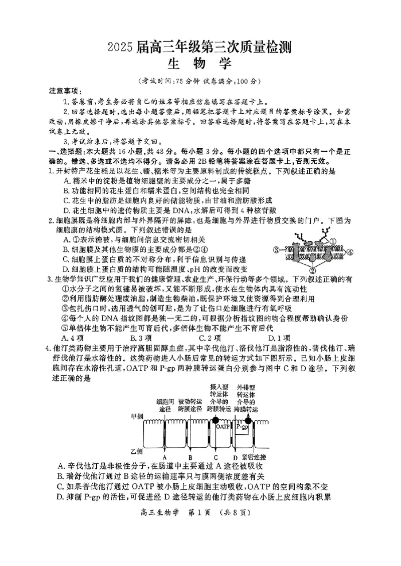 生物_2025年5月_0501河南省开封市2025届高三下学期第三次质量检测（全科）_河南省开封市2025届高三年级第三次质量检测生物