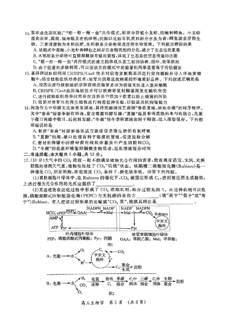 生物_2025年5月_0501河南省开封市2025届高三下学期第三次质量检测（全科）_河南省开封市2025届高三年级第三次质量检测生物