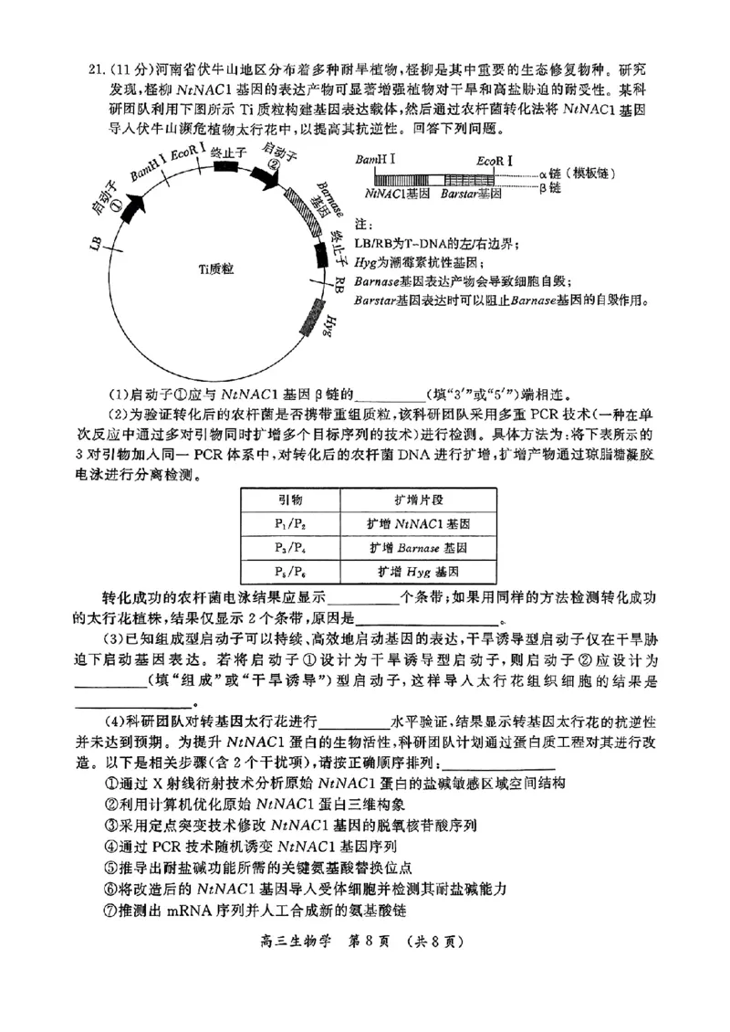 生物_2025年5月_0501河南省开封市2025届高三下学期第三次质量检测（全科）_河南省开封市2025届高三年级第三次质量检测生物
