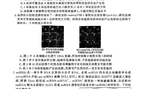 生物_2025年5月_0501河南省开封市2025届高三下学期第三次质量检测（全科）_河南省开封市2025届高三年级第三次质量检测生物