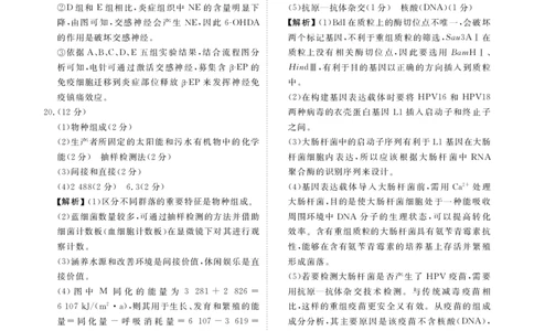 高二期末联考生物答案(1)_1多考区联考_0730衡水金卷先享题-2023-2024学年高二下学期期末_衡水金卷-湖南部分学校2023-2024学年高二下学期期末生物试卷_2024年期末生物联考试卷