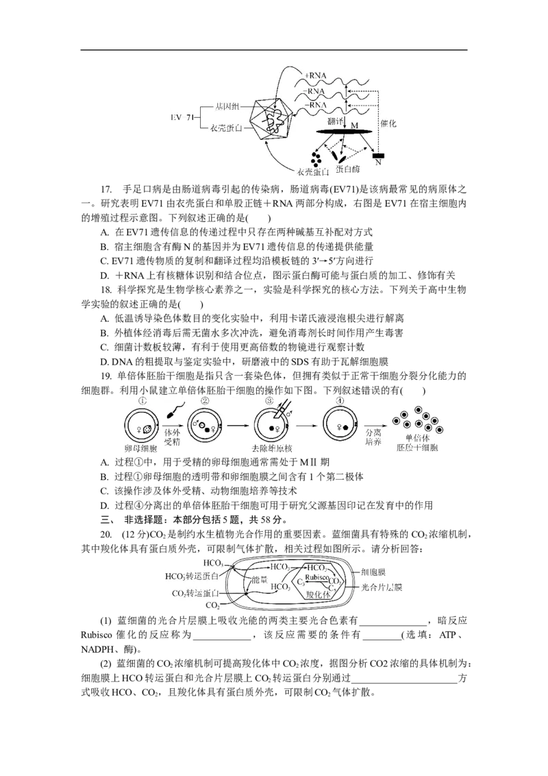 江苏省如皋市2025-2026学年高三上学期第一次教学质量调研生物学试题_2025年10月_12026年试卷教辅资源等多个文件