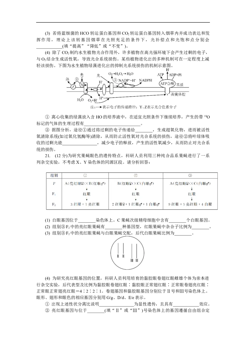 江苏省如皋市2025-2026学年高三上学期第一次教学质量调研生物学试题_2025年10月_12026年试卷教辅资源等多个文件