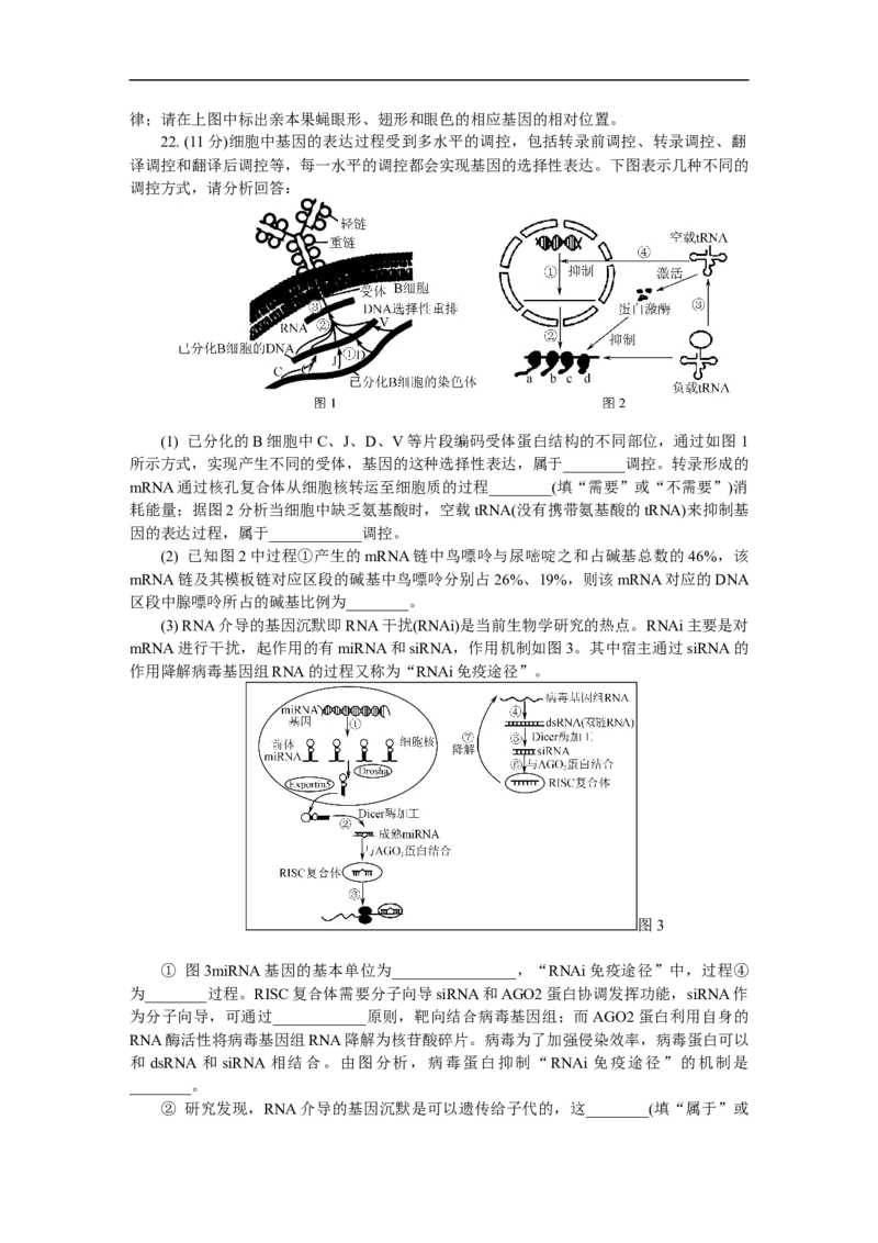 江苏省如皋市2025-2026学年高三上学期第一次教学质量调研生物学试题_2025年10月_12026年试卷教辅资源等多个文件