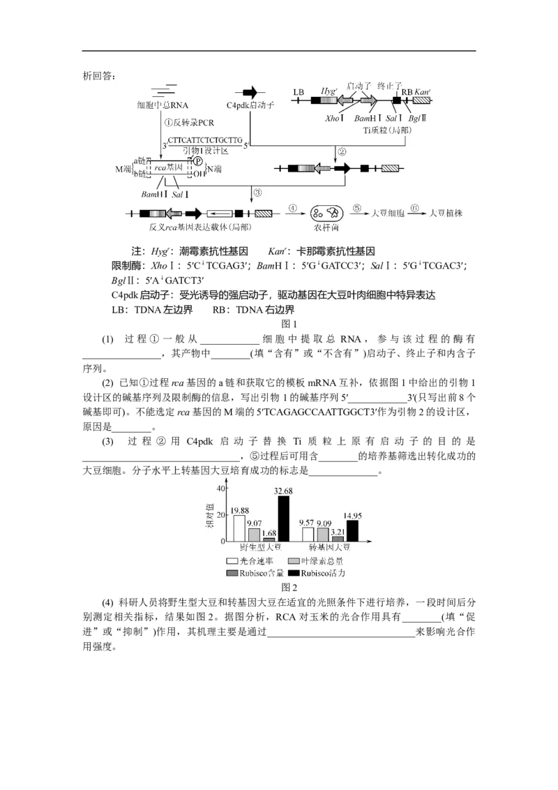 江苏省如皋市2025-2026学年高三上学期第一次教学质量调研生物学试题_2025年10月_12026年试卷教辅资源等多个文件
