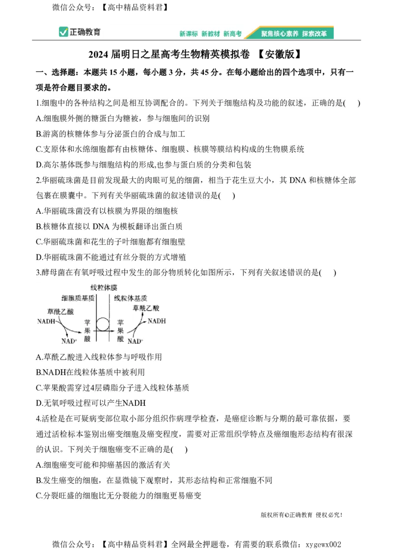 2024届明日之星高考生物精英模拟卷安徽版_2024高考押题卷_72024正确教育全系列_2024明日之星全系列_（新高考）2024《明日之星&middot;高考精英模拟卷》（九科全）各一套