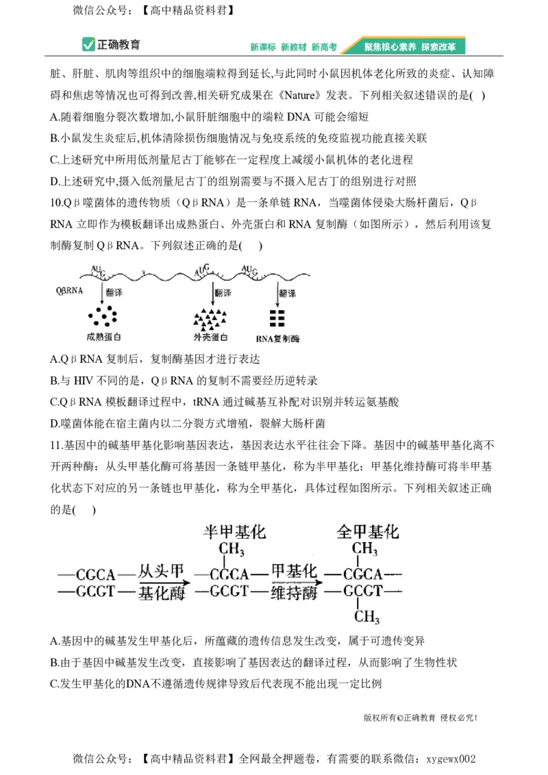 2024届明日之星高考生物精英模拟卷安徽版_2024高考押题卷_72024正确教育全系列_2024明日之星全系列_（新高考）2024《明日之星&middot;高考精英模拟卷》（九科全）各一套