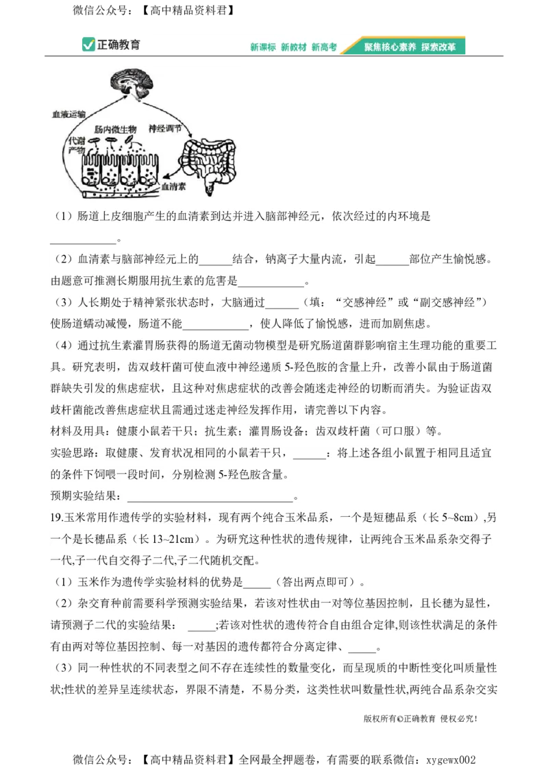 2024届明日之星高考生物精英模拟卷安徽版_2024高考押题卷_72024正确教育全系列_2024明日之星全系列_（新高考）2024《明日之星&middot;高考精英模拟卷》（九科全）各一套