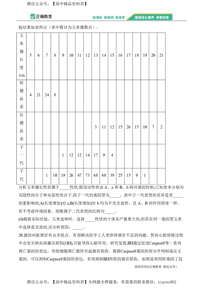 2024届明日之星高考生物精英模拟卷安徽版_2024高考押题卷_72024正确教育全系列_2024明日之星全系列_（新高考）2024《明日之星&middot;高考精英模拟卷》（九科全）各一套