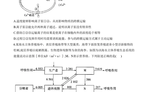 2024届明日之星高考生物精英模拟卷安徽版_2024高考押题卷_72024正确教育全系列_2024明日之星全系列_（新高考）2024《明日之星&middot;高考精英模拟卷》（九科全）各一套