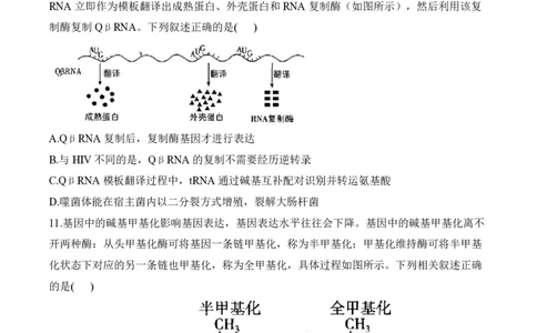 2024届明日之星高考生物精英模拟卷安徽版_2024高考押题卷_72024正确教育全系列_2024明日之星全系列_（新高考）2024《明日之星&middot;高考精英模拟卷》（九科全）各一套