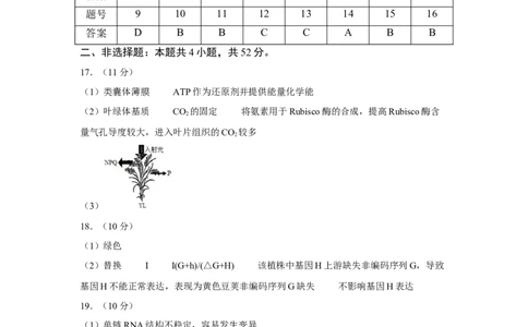 生物学试题评分参考_2025年8月_250816云南省玉溪第一中学2025-2026学年高三上学期适应性测试（一）（全科）_云南省玉溪第一中学2026届高三上学期适应性测试（一）生物