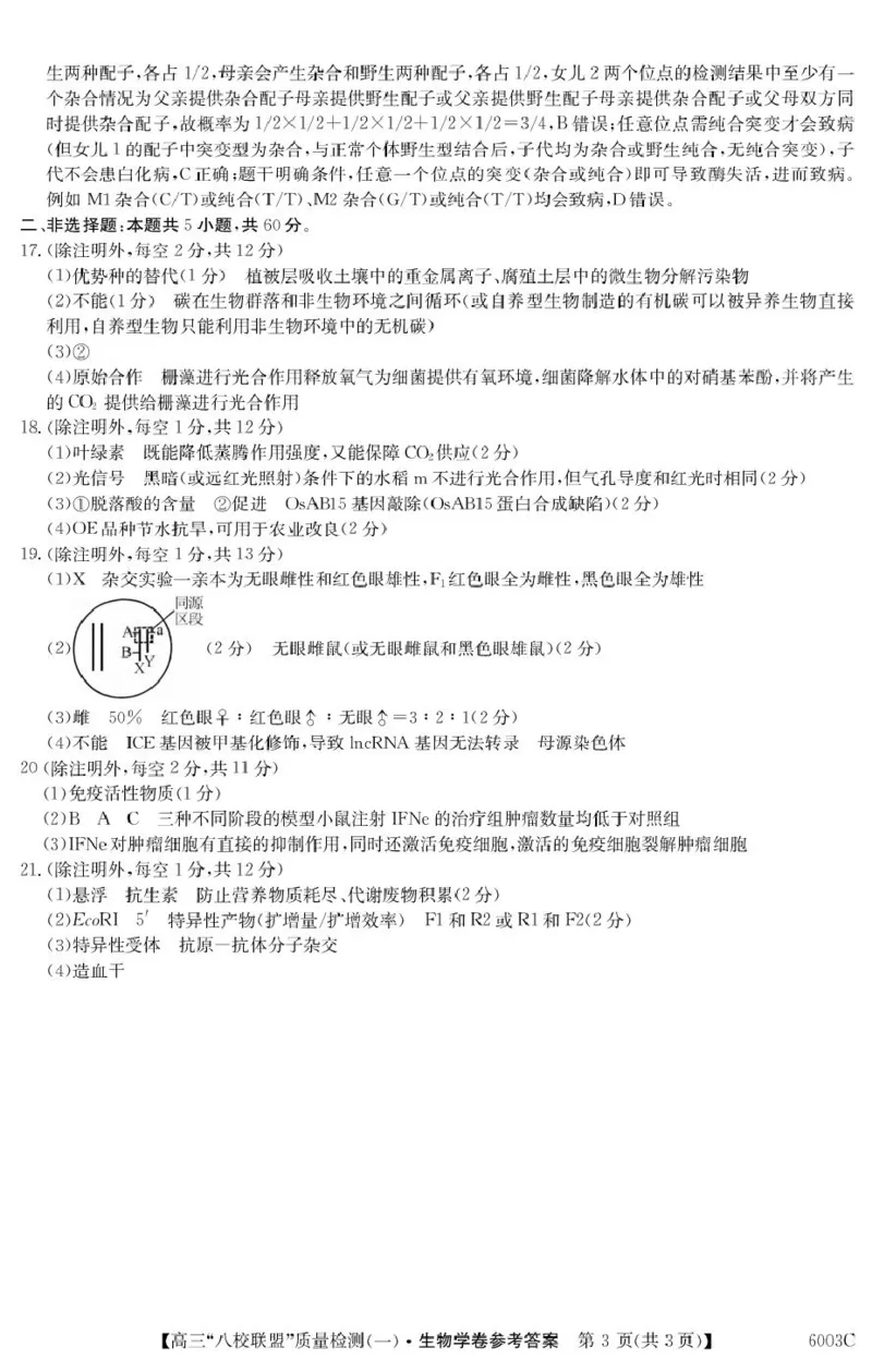 广东省八校联盟2025-2026学年高三上学期质量检测（一）生物试卷（含答案）_2025年8月_250807广东省八校联盟2025-2026学年高三质量检测（一）(6003C)（全科）
