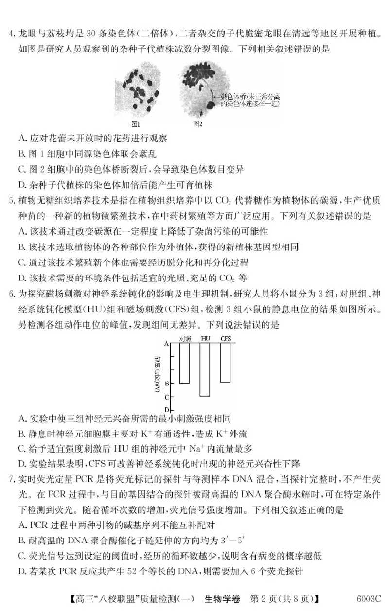 广东省八校联盟2025-2026学年高三上学期质量检测（一）生物试卷（含答案）_2025年8月_250807广东省八校联盟2025-2026学年高三质量检测（一）(6003C)（全科）