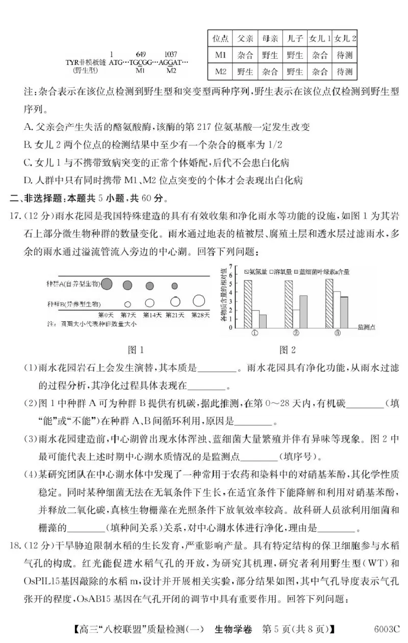 广东省八校联盟2025-2026学年高三上学期质量检测（一）生物试卷（含答案）_2025年8月_250807广东省八校联盟2025-2026学年高三质量检测（一）(6003C)（全科）