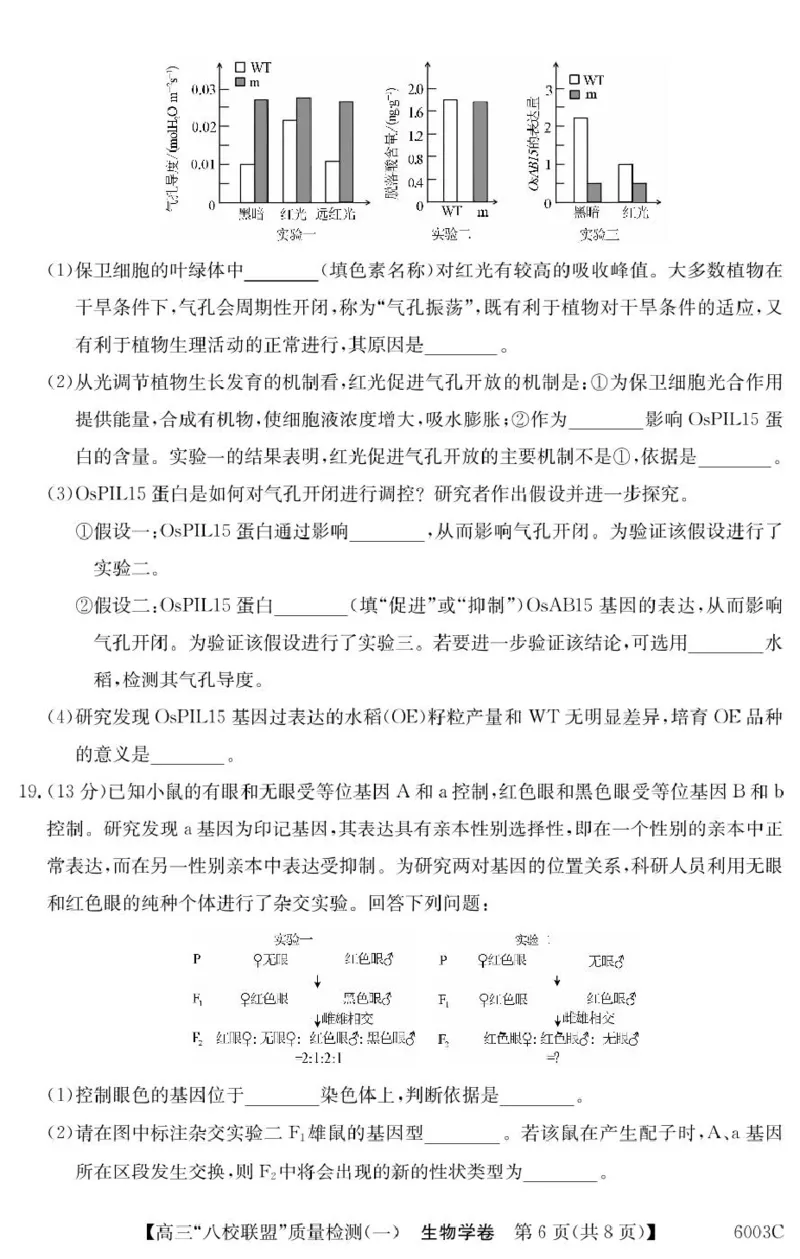 广东省八校联盟2025-2026学年高三上学期质量检测（一）生物试卷（含答案）_2025年8月_250807广东省八校联盟2025-2026学年高三质量检测（一）(6003C)（全科）