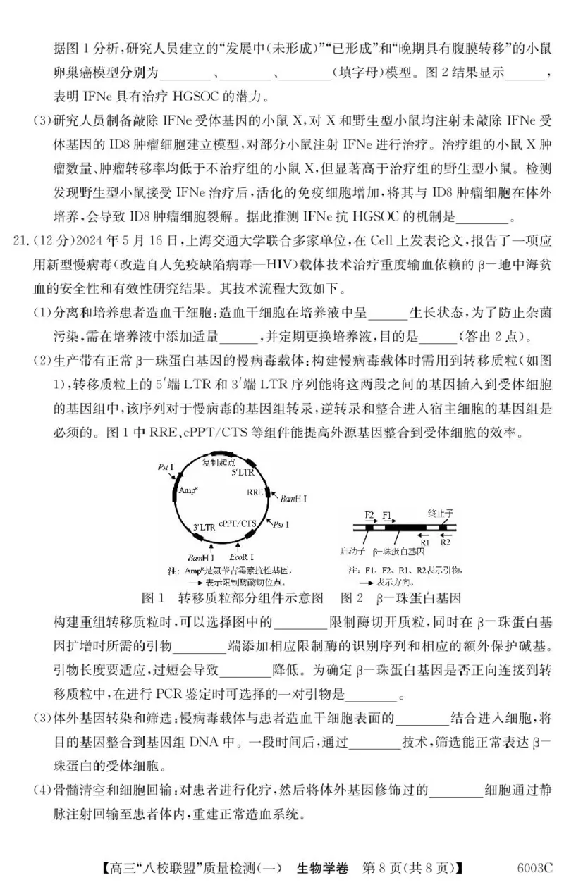 广东省八校联盟2025-2026学年高三上学期质量检测（一）生物试卷（含答案）_2025年8月_250807广东省八校联盟2025-2026学年高三质量检测（一）(6003C)（全科）