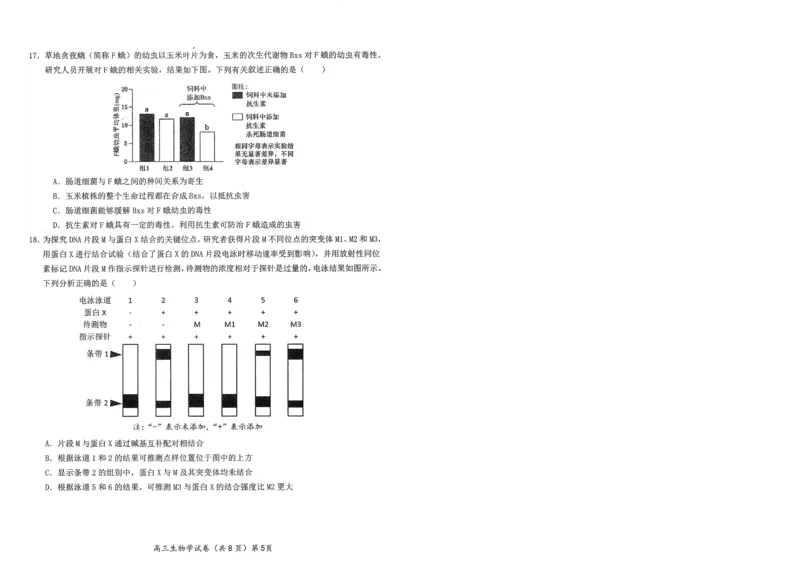 湖北省鄂东南2025年春季高三年级五月模拟考生物_2025年5月_250513湖北省鄂东南2025年春季高三年级五月模拟考（全科）