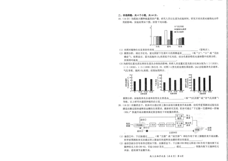 湖北省鄂东南2025年春季高三年级五月模拟考生物_2025年5月_250513湖北省鄂东南2025年春季高三年级五月模拟考（全科）