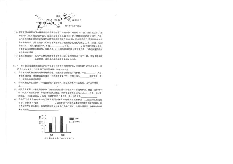 湖北省鄂东南2025年春季高三年级五月模拟考生物_2025年5月_250513湖北省鄂东南2025年春季高三年级五月模拟考（全科）